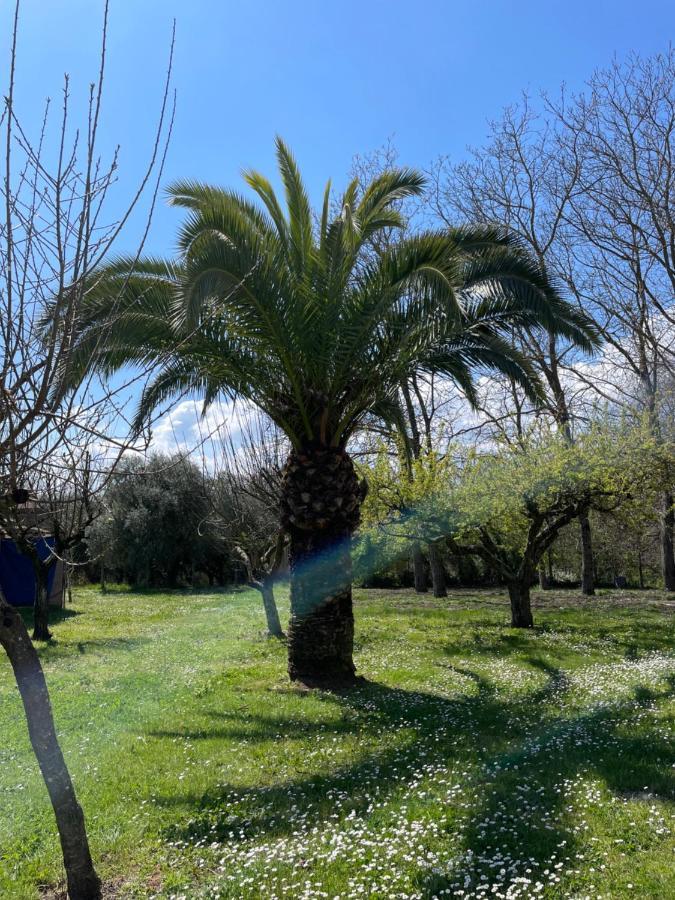 B & B Casal Pereto Valmontone Eksteriør bilde