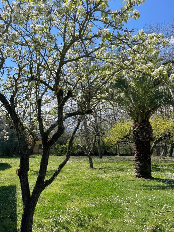 B & B Casal Pereto Valmontone Eksteriør bilde