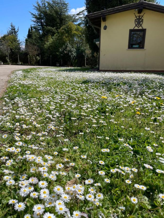 B & B Casal Pereto Valmontone Eksteriør bilde